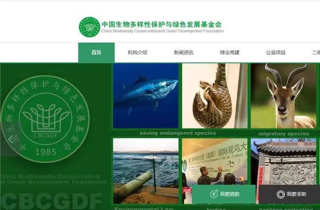 扒父亲背景不一般绿发会受牵连哈佛蒋雨融事升级！更多黑料被(图9)