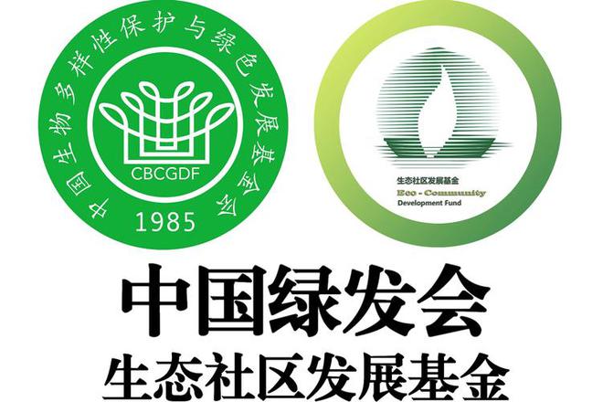 扒父亲背景不一般绿发会受牵连哈佛蒋雨融事升级！更多黑料被(图19)